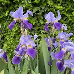 別荘 Les Bateliers Saint-valery