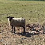 別荘 Les Bateliers Saint-valery