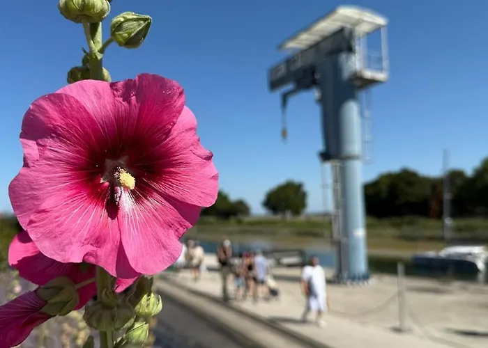 Les Bateliers Saint-valery Casa vacanze