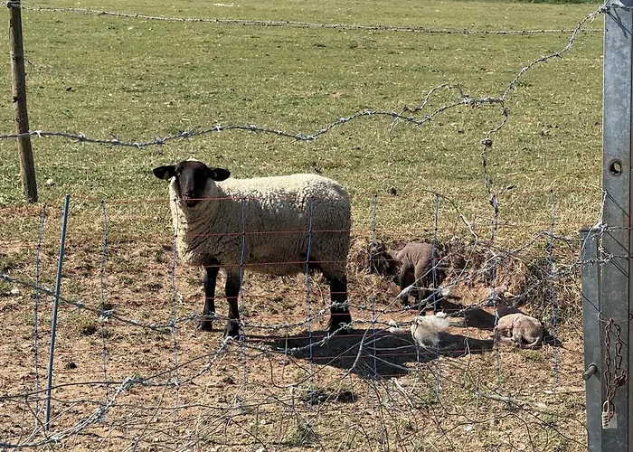 Vakantiehuis Les Bateliers Saint-valery